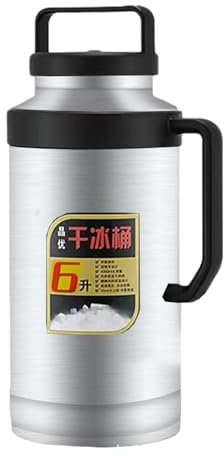 F Fityle Secchiello per ghiaccio secco Secchiello per ghiaccio secco Bottiglia d'acqua termica Contenitore per ghiaccio per eventi di catering Buffet domestici, Argento 6L