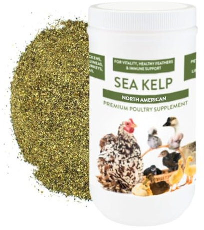 Kelp for Chickens & Duck Feed (1 Pound): Chicken Vitamins | Chicken Supplements | Vitamins for Chickens | Pampered Chicken Mama