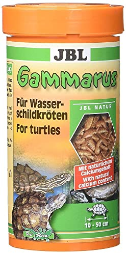 JBL Gammarus 7032200 Ergänzungsfutter für Wasserschildkröten, 1er Pack (1 x 250 ml)