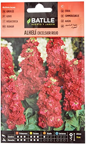 Semillas Batlle Aleli Excelsior Rosso