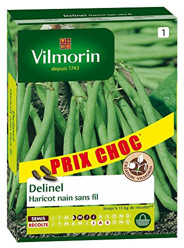 Vilmorin 1149564 Pack de Graines Haricot Delinel Obtention