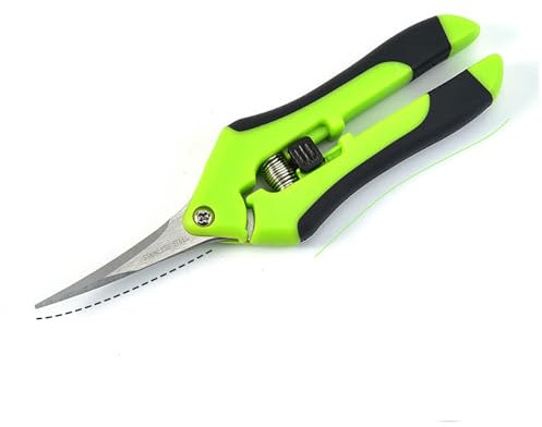 SDKZBFC 1 paire Sécateur Sécateur pour fleurs Sécateur de lecture Sécateur pour branches, acier Sécateur pour arbres fruitiers Coude en acier inoxydable Sécateur d'élagage