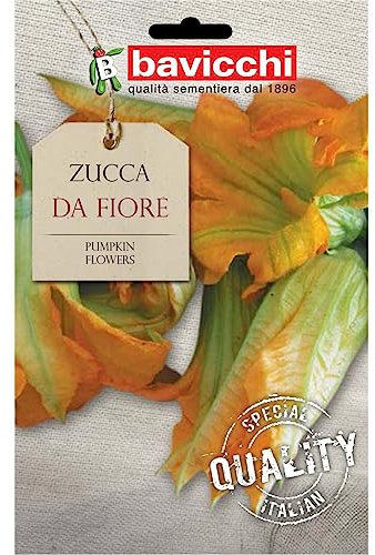 Bavicchi VZU29 Busta semi Zucca da fiore
