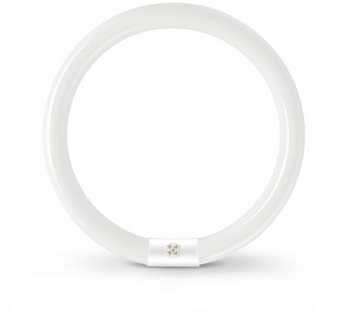 32W T9 Runde G10Q Energiesparende Leuchtstoffröhre, Neonröhre Kaltweiß 6500K, Ringlicht Mit Geringem Energieverbrauch, Geeignet für Küchen, Flure, Treppen, Schlafzimmer, Deckenleuchten,1 Stück