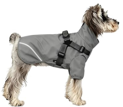 BT Bear Regenmantel für kleine Hunde, Reflektierender, Wasserfester Hunde-Regenmantel, Grau, Größe L