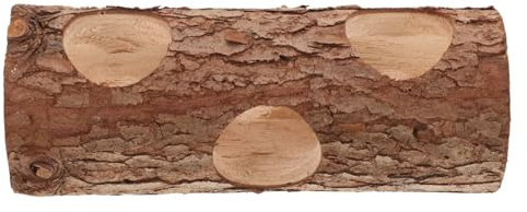 ibasenice Tunnel Bois pour Hamster Cachette Habitat pour Petits Animaux Jouet Exploration pour Cobaye