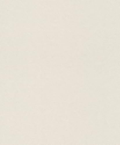 Rasch Carta da parati 660104 – Carta da parati in tessuto non tessuto di colore crema/beige con struttura in intonaco fine, effetto gesso, 10,05 m x 0,53 m (lunghezza x larghezza)