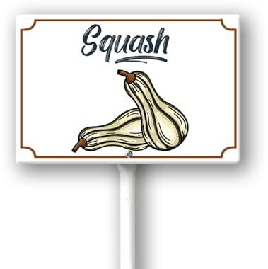 Geroclonup Panneaux de légumes avec piquet en forme de courge pour légumes, herbes aromatiques, plantes en pot, 20,3 x 30,5 cm