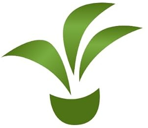 artplants.de Asparagi Verdi Artificiali, Mazzo da 5 Pezzi, 23cm - Ortaggi Decorativi/Asparagi da Decorazione
