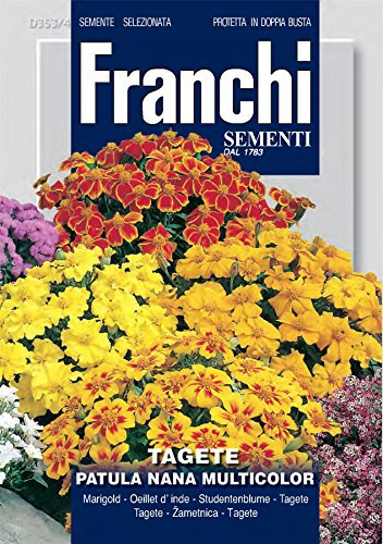 Franchi - FDBF_ 353-4 - Marigold - Tagete Patula Nana Mix - Seeds
