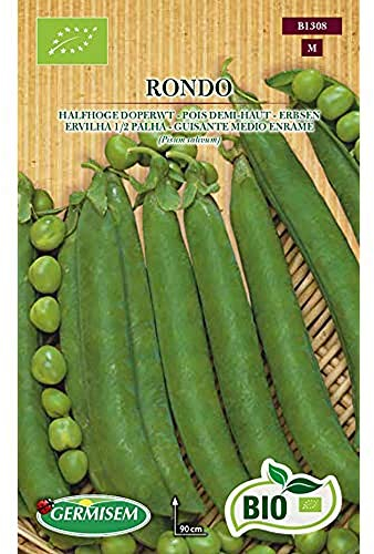 Germisem Bio Graines Pois demi-haut RONDO Multicolore ECBIO1308