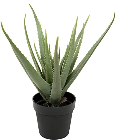 GreenBrokers Artificial Soft Aloe Vera Succulent Plant in Black Pot 61cm