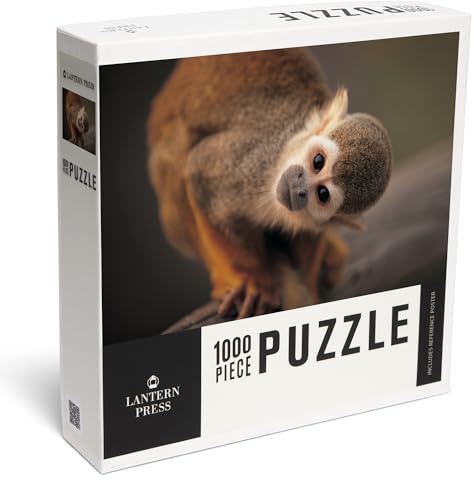 Lantern Press Puzzle Squirrel Monkey