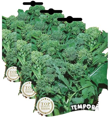 Germisem Temporao Semi di Verdi Rapa 20 g (Confezione da 3)