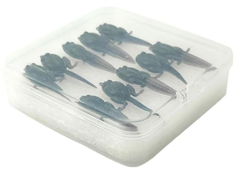 ZoraYorce 10 esche da pesca morbide per girino, esche artificiali, esche bioniche, wobbler per luccio, pesce persico