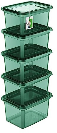 PAFEN 5X Aufbewahrungsbox mit Deckel 15L - 38 x 28,5 x 22 cm - Boxen Aufbewahrung Stapelboxen mit Verschlussclips Kunststoffbehälter Kleiderboxen Transparent Organizer | Grün