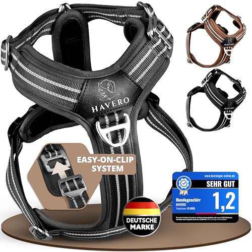 HAVERO Hundegeschirr Easy-On-Clip – [Kein Überkopfziehen] | Anti-Zug Y-Geschirr Gepolstert Reflektierend Atmungsaktiv Brustgeschirr – kleine, mittelgroße & Grosse Hunde Geschirr (Schwarz, M)
