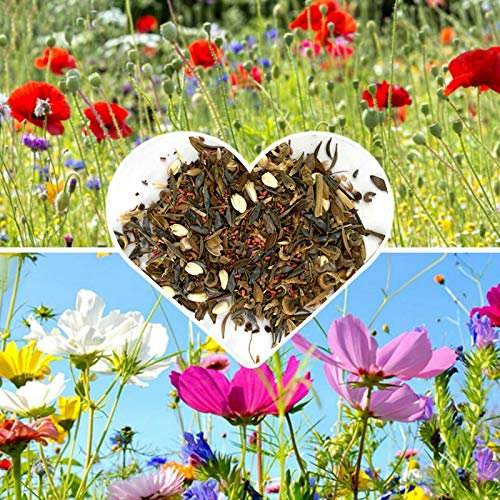 Benoon Semillas De Flores Silvestres, 500 Piezas/Bolsa Semillas De Flores Silvestres Plantación Natural Semillas De Flores Decorativas De Tipo Mixto Para Jardín Semillas de flores silvestres