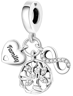 Symretie Pendentif Charm en Argent 925, Compatible avec les Bracelets et Colliers de Style Pandora et Européen. Convient aux Femmes et aux Filles.