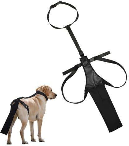FHRYNA Protector de cola para perros, protector de cola ajustable, equipo de protección para mascotas, suministros para mascotas