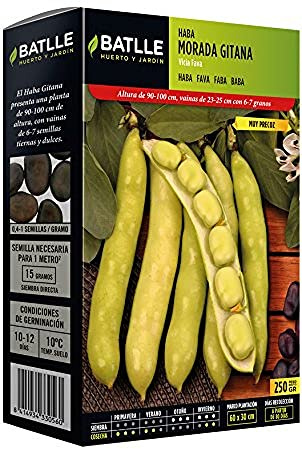 Semillas Batlle Haba Morada GITANA