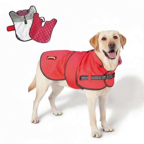 TAIL BLAZERS 2-in-1 Waterproof Dog Coat Raincoat (L/Red)