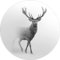 Pro-Art Glasbild Grey Deer V, rund 20 cm