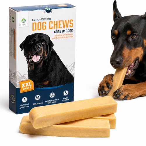 Dilecti Premium Natural hundtuggben – ostben för hundar, ett tåligt alternativ till tuggben av jak och tandvårdspinnar, spannmålsfria godbitar med mjölksmak (Storlek XXL, set om 3)