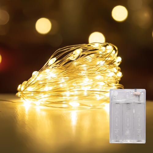 LEECOCO Lichterkette Batterie, Micro LED Lichterkette AA Batterie betrieb für Weihnachten, Schlafzimmer, Party, Hochzeit,Halloween Deko (Warmweiß, 2m)
