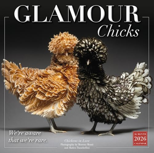 Glamour Chicks 2026 Wall Calendar, 12-Month Funny Chicken & Animal Photography Calendar, 12 x 12, Monthly Planner with Large Grids for Home or Office