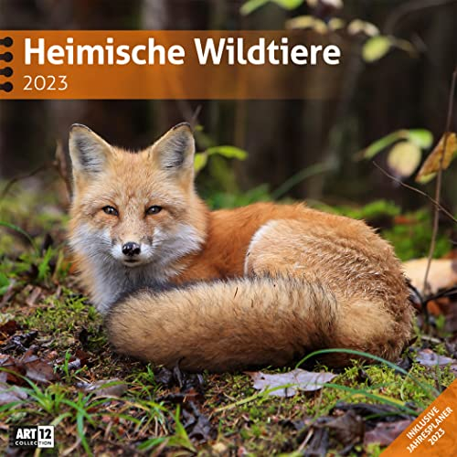 Heimische Wildtiere 2023, Wandkalender / Broschürenkalender im Hochformat (aufgeklappt 30x60 cm) - Kalender mit Monatskalendarium zum Eintragen