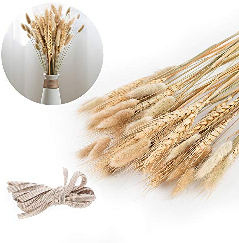 50 Stück Trockenblumen Pampasgras Deko, Pampasgras Getrocknet Groß Natur Strauß Blumen Gräser Blumenstrauß Pampas Deko für Hochzeit Innendekoration