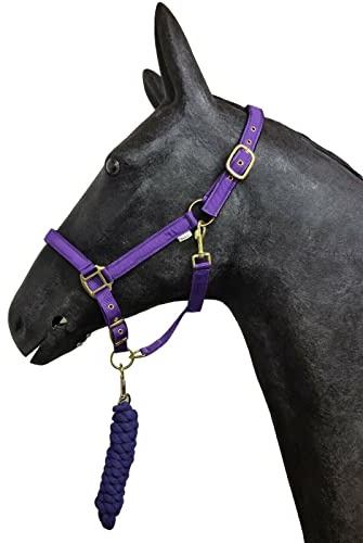 HORSE MASTER Padded Headcollar Lead Rope - Comfortable Stylish Horse Printed Halter with Detachable Leadrope - Stable Yard Equipment for Pony Cob Full and Shetland, Purple