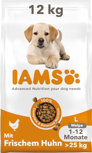 IAMS Junior Hundefutter trocken mit Huhn - Welpenfutter für Welpen im Alter von 1-12 Monaten, geeignet für große Rassen, 12 kg