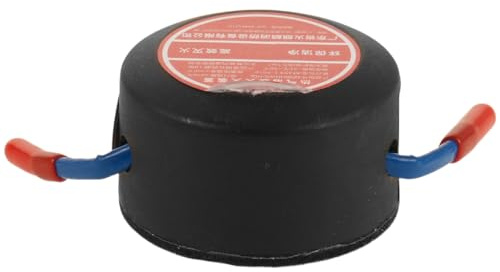 EPIGEIST Estintore capacità 10g Automatico ad Aerosol per Veicoli in Lega di Alluminio Spegnimento Incendio Automatico per Installazione nel Motore Dell'auto e Spazi Automobilistici