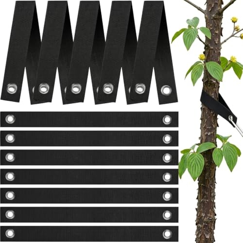 KERYBW Lot de 12 sangles d'arbre, avec œillets, bandes de fixation pour arbre, sangles de support pour arbre à tendre, arbres fraîchement plantés, protection contre les ouragans et les ouragans