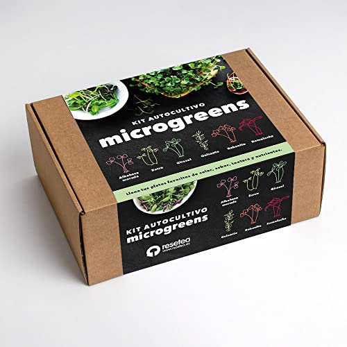 Kit de Cultivo de Microgreens | Resetea