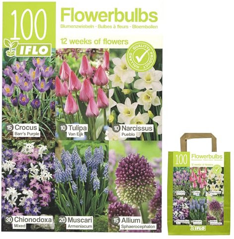 Lot de 100 bulbes à fleurs dans un emballage cadeau - Oignons, tubercules de différentes plantes rustiques pour jardin et balcon - Multicolores, vivaces, pour pot et parterre (100 bulbes à fleurs