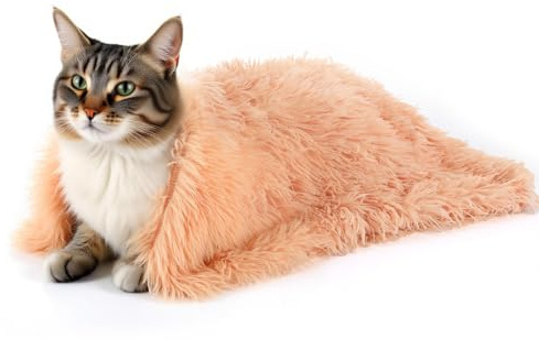 Dimeho Coperta calmante per animali domestici, soffice coperta per cani e gatti, super morbida e calda, 22 × 14 pollici/56 × 36 cm, coperta per cuccioli di albicocca, adatta per interni, lavabile in