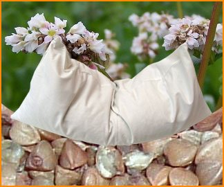 Bio Buchweizenkissen 40 x 40 cm mit Inlett aus 100% Bio-Baumwolle