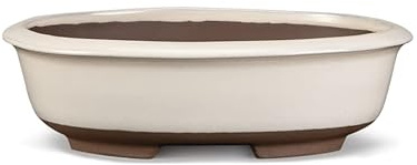 Certrè - Vaso Bonsai Ovale in Gres, Modello Treviso, Made in Italy, Colore Panna (Smaltato)| 16x12,5x6 cm