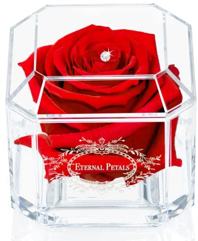 A 100% Real Rose That Lasts Years - Eternal Petals, Handmade in UK – White Gold Solo with A Multicolor Crystal (Red)