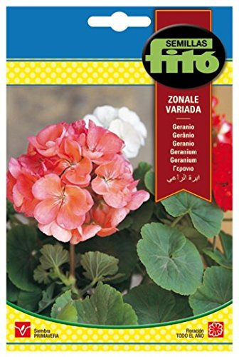 Semillas Fitó Geranio Zonale Variado