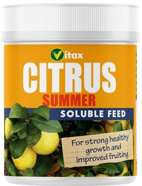 Vitax Citrus Feed for Summer – Soluble Plant Feed for Healthy, Fruitful Citrus Trees – Prevents Leaf Fall Boosts Growth & Fruit Production – Ideal for Indoor & Outdoor Citrus Plants- 200g Tub