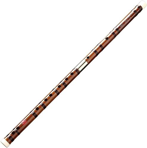 OWIEN Flauto in bambù professionale per suonare strumento musicale principiante adulto zero base bambù amaro Dizi (D)