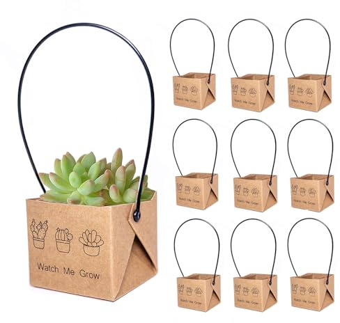 ALLWSLucky 100 Pcs Mini Cajas De Suculentas, 5,1 cm Maceta de Papel para Plantas suculentas, Bolsas para Envolver Suculenta, Envoltorios de suculenta con Asas de plástico