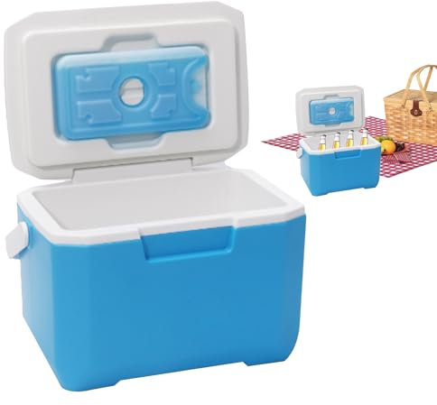 Box Plus, Eiskühler, Autokühlschrank mit großer Kapazität, die externe Kühlbox enthält einen langlebigen Griff eines Behälters