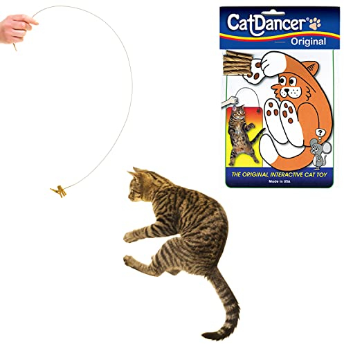 Cat Dancer Products CATD0101D Katzenspielzeug, Small Breeds