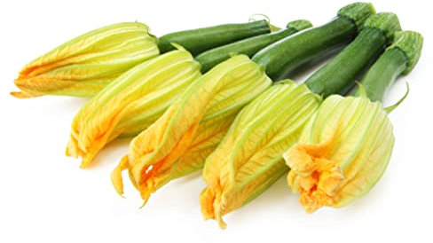 Just Seed Courgette - Zucchini - 100 Seeds - Large Packet