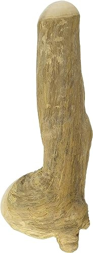 Chewies - Bastone da Masticare in Legno di Caffè per Cani, 100% Naturale, a Basso Rischio e Durevole, Misura L Fino a 20 kg di Peso Corporeo
